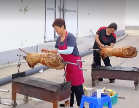案例视频：亮子奔腾