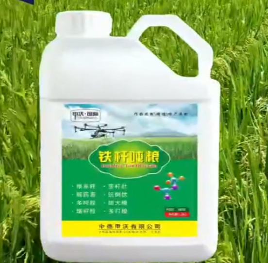 作物要增产选铁杆吨粮