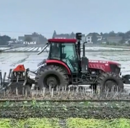 您负责统筹全局，它负责脚踏实地
